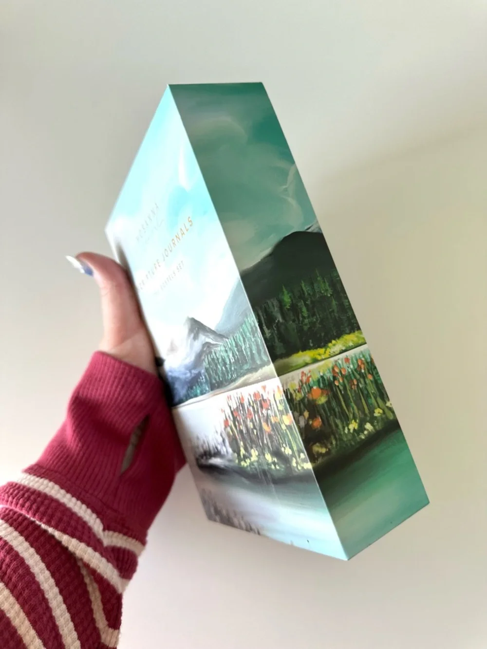 LAST CHANCE 🤍 Hosanna Revival Scripture Journals The Gospels Set